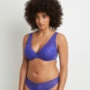 SOUTIEN-GORGE AMPLIFORME VIOLET