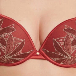 SOUTIEN-GORGE PUSH UP TULLE BRODEE MULTICO ORANGE 4 SOUTIEN-GORGE PUSH UP TULLE BRODEE MULTICO ORANGE -Rougegorge Boutique 20076100 Z